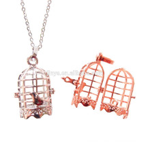 Fashion Long Bird Cage Locket Diffuser Necklace